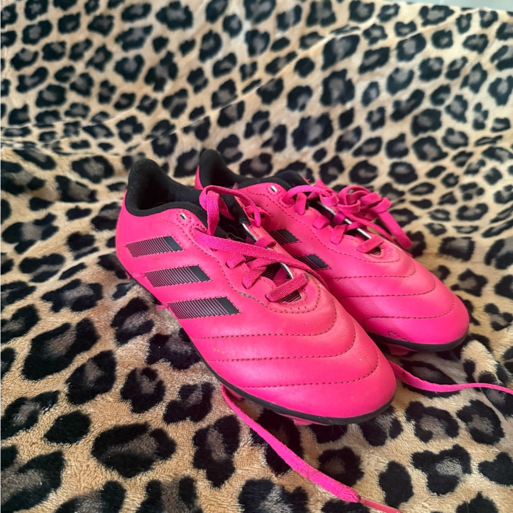 Adidas Bright Pink Sports Shoes